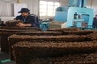 Tháng 9 cao su xuất khẩu 100 ngàn tấn, nhập khẩu 33 ngàn tấn